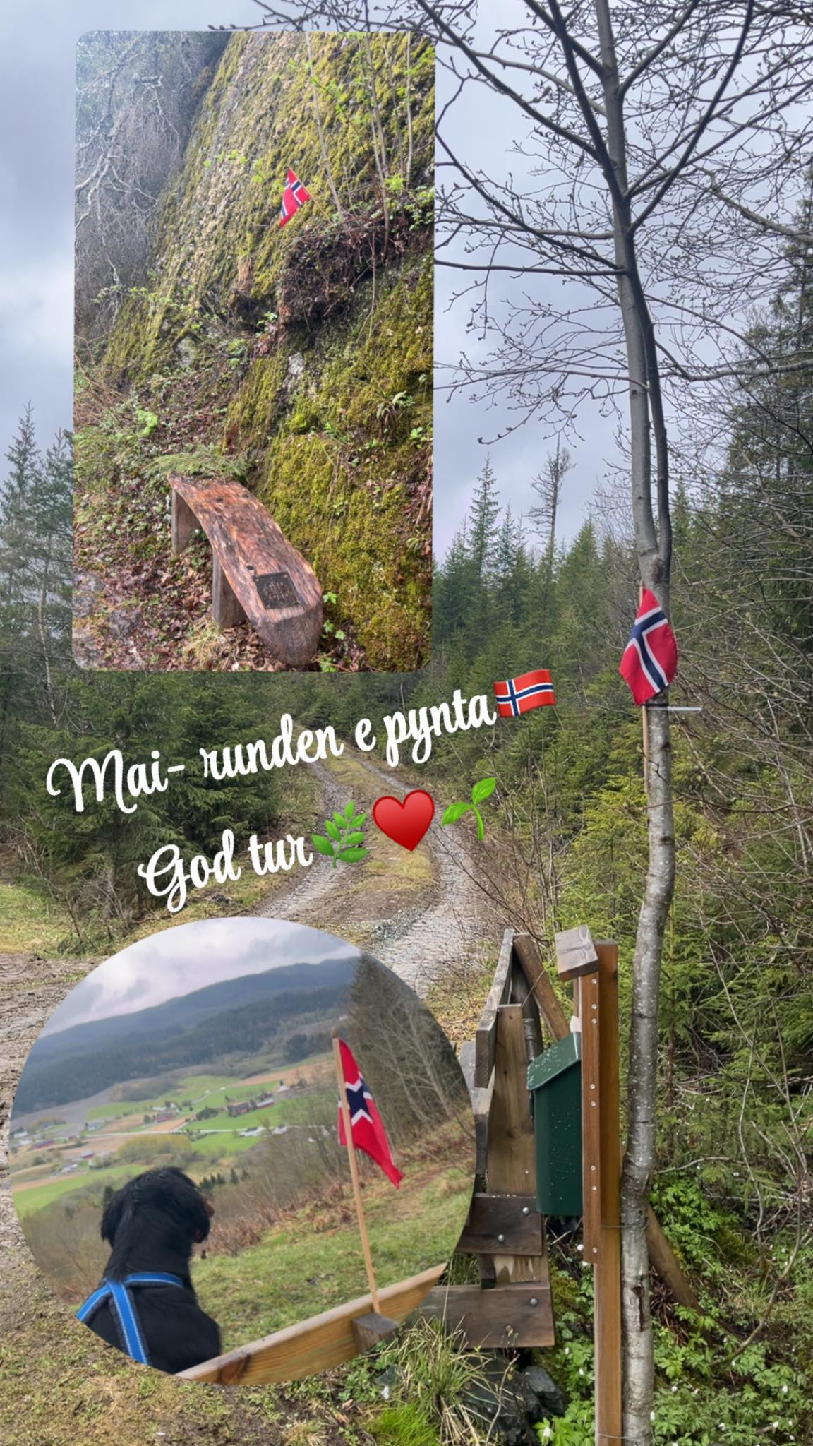 månedens trimpost april og mai